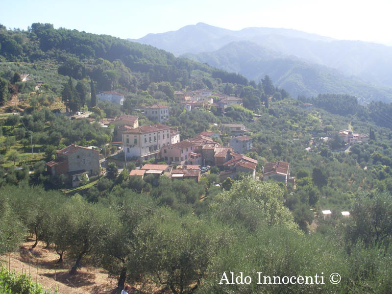 AQUILEA: PANORAMA 2' IMMAGINE